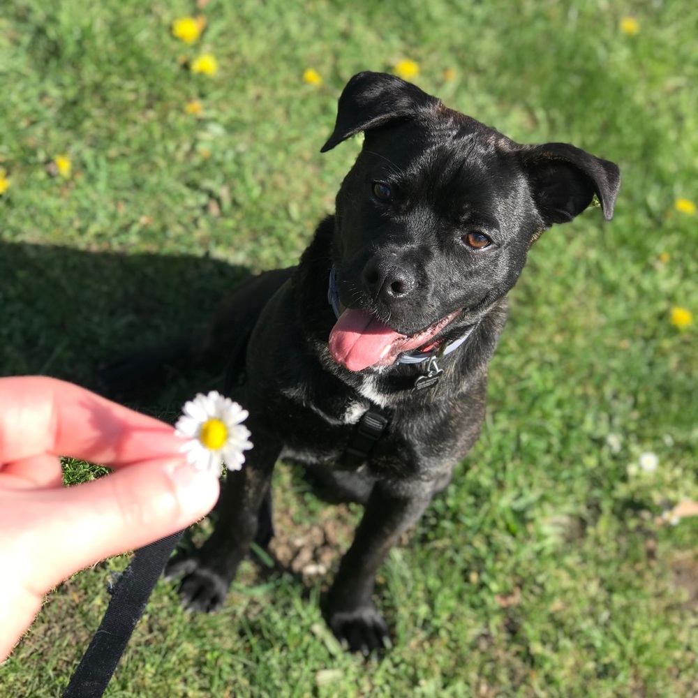 Meet your Posher, Caylie